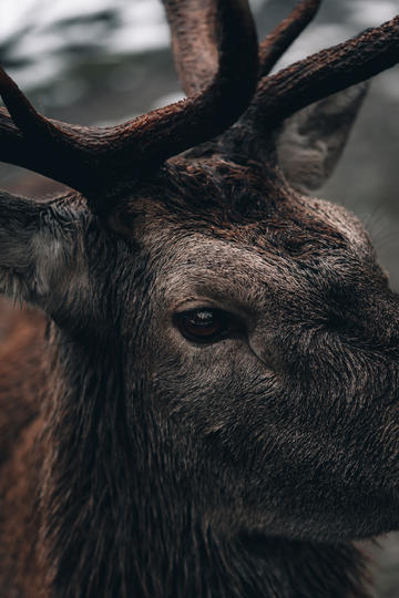 《stduart》编程工具