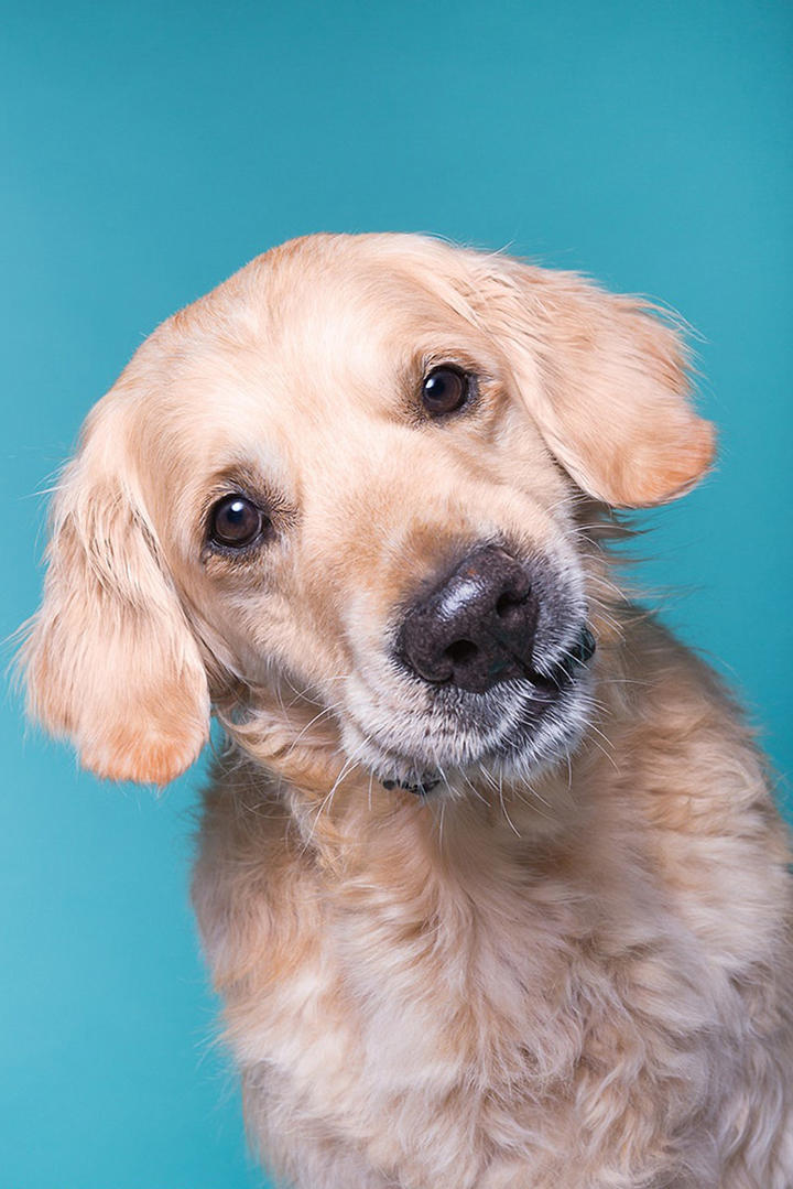 戏弄蕾米：追忆的碎片